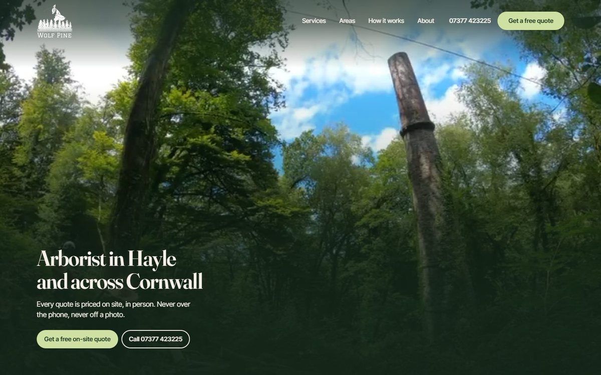 The Wolf Pine home page: woodland photographed from below, headed Arborist in Hayle and across Cornwall