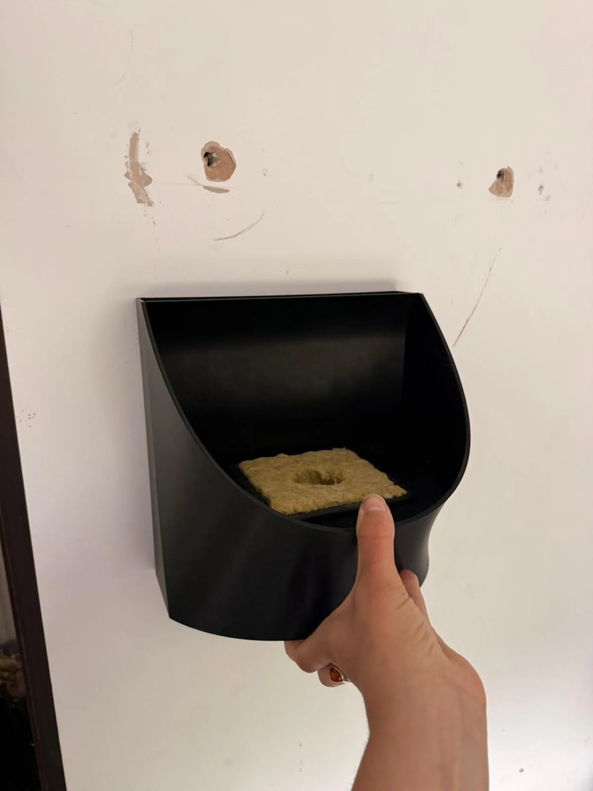 A module on the wall with a block of growing medium sitting in the planting pocket
